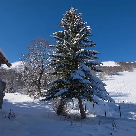 Chalet Azur A 아파트